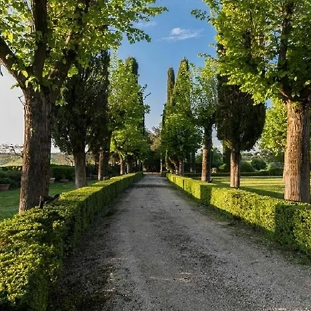 Isaia 31